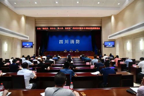 嚴查消防隱患，筑牢安全防線——四川消防技術服務機構專項檢查取得階段性成效